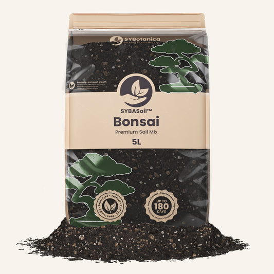 Terriccio per Bonsai 5L