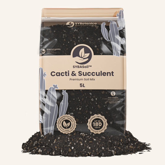 Terriccio per Cactus & Succulente 5L