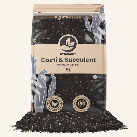Terriccio per Cactus & Succulente