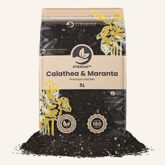 Terriccio per Calathea & Maranta 5L