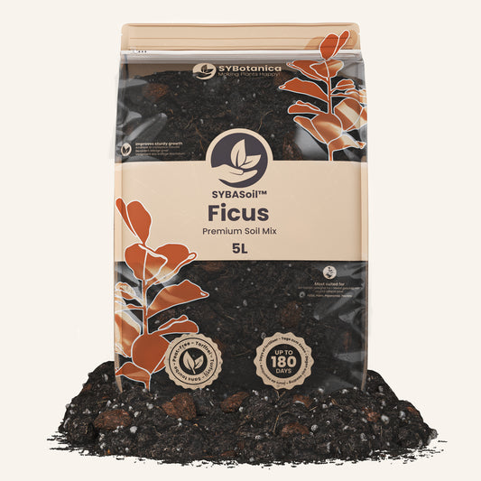 Terriccio per Ficus 5L