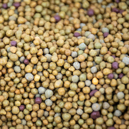 Fertilizzante a rilascio lento per piante tropicali