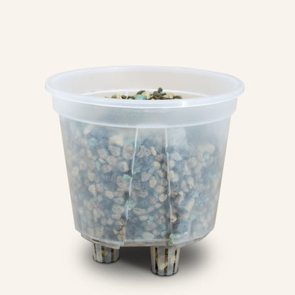 Vasi per aroidi/orchidee con sistema di auto-irrigazione
