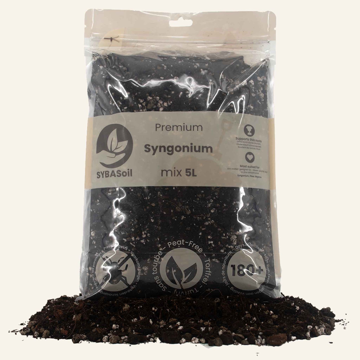 Terriccio per Syngonium