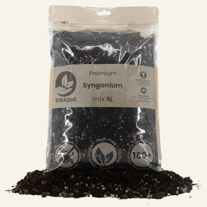 Terriccio per Syngonium