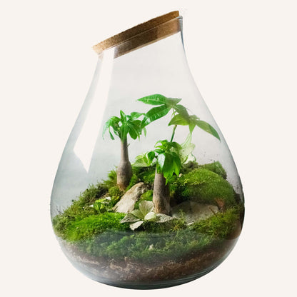 Super Pacchetto Terrario